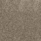 Mohawk Purrfect Home II Carpet in Gravity, , large
