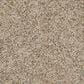 Dream Weaver Confetti I Carpet in Harmony, , large