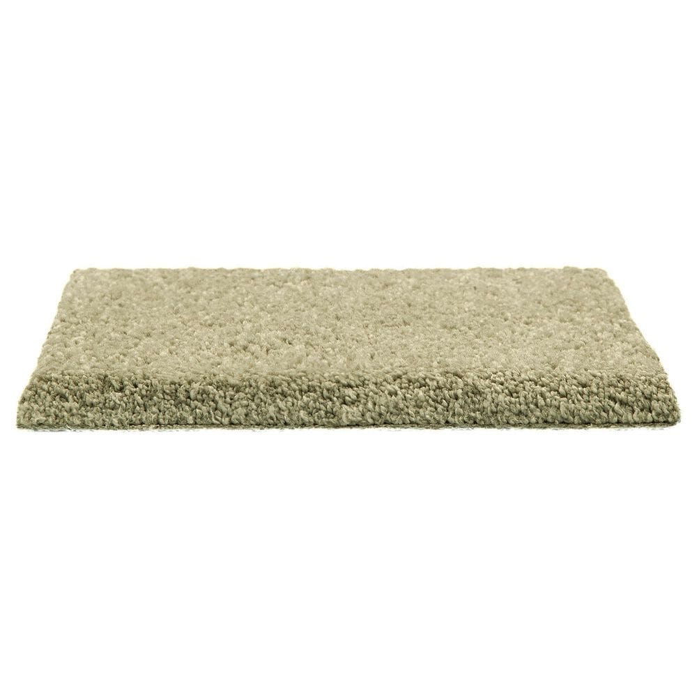 Mohawk Pleasant Touch Carpet in Valley Fog, , large