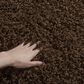 Safavieh Athens Shag SGA119A-4 4" x 6" Brown Area Rug, , large
