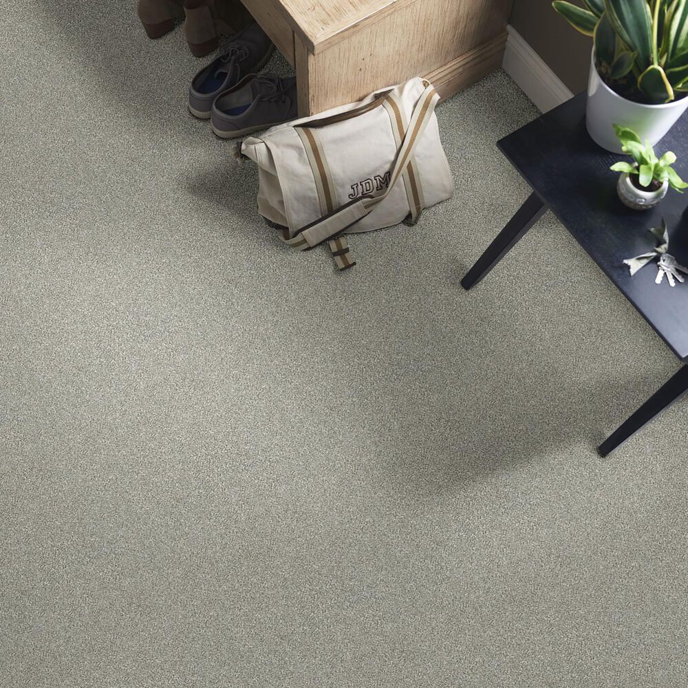 Shaw Simply the Best Attainable Carpet in Clay, , large