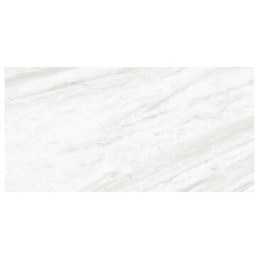 Dal-Tile Perpetuo Timeless White 12" x 24" Polished Porcelain Floor Tile, , large