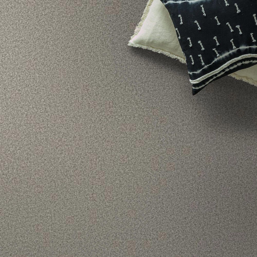Anderson Tuftex Avalon Bay Carpet in Moth Gray, , large