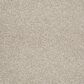 Shaw Foundations Take The Floor Tonal Blue Carpet in Fantasy, , large