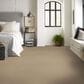 Shaw Austin Park Carpet in Boutique, , large