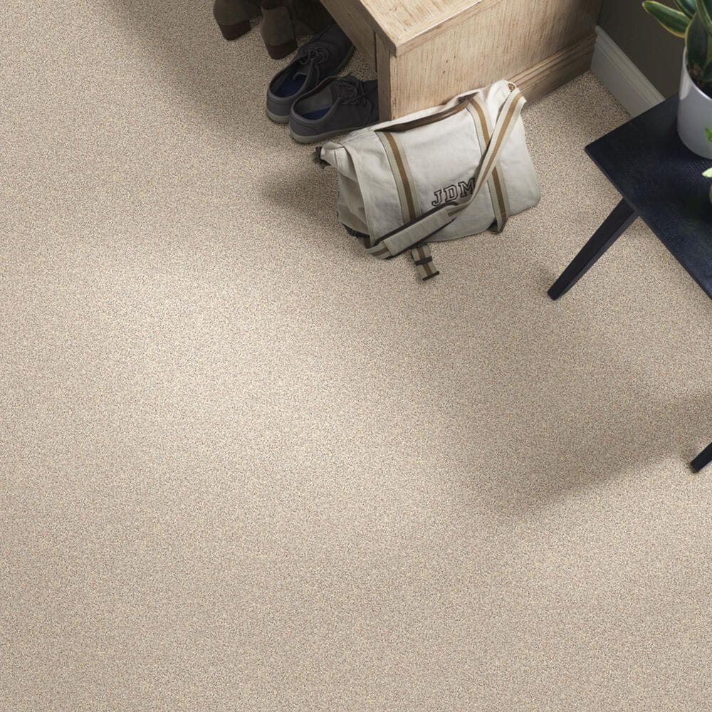 Shaw Foundations Take The Floor Twist I Carpet in Hickory, , large