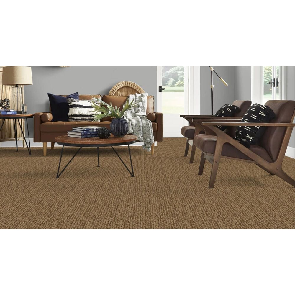 Masland Mesa Verde Carpet in Valley Forge, , large