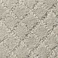 Anderson Tuftex Off Leash Carpet in Silver Fox, , large