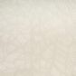 Nourison Desire Beige 9" x 12" Area Rug, , large