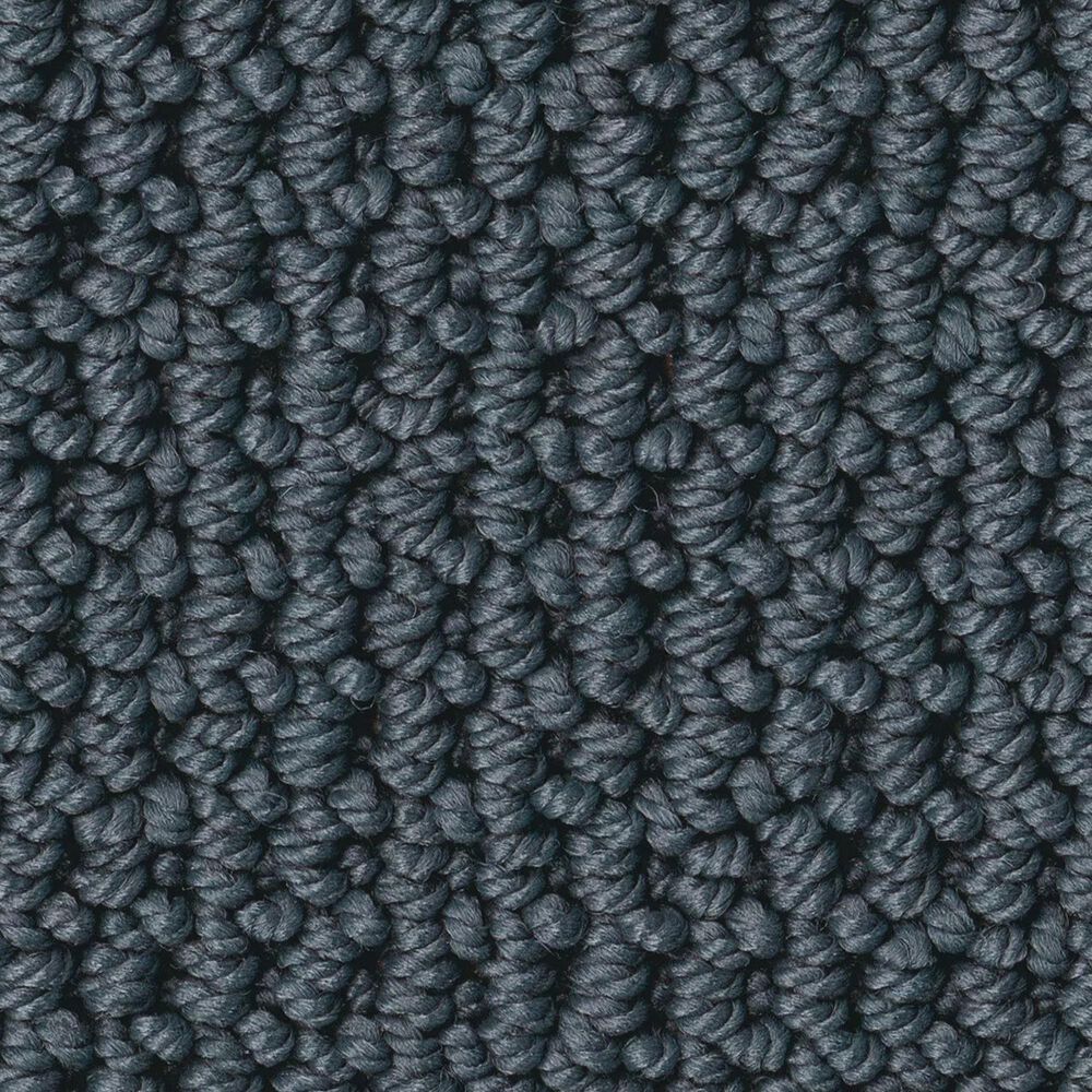 Anderson Tuftex Arden Park Carpet in Lakeside, , large