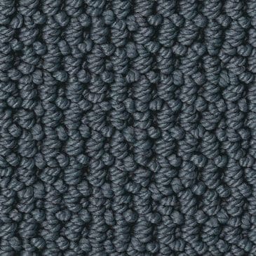 Anderson Tuftex Arden Park Carpet in Lakeside, , large