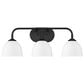 Golden Lighting Zoey 3-Light Bath Vanity in Matte Black, , large