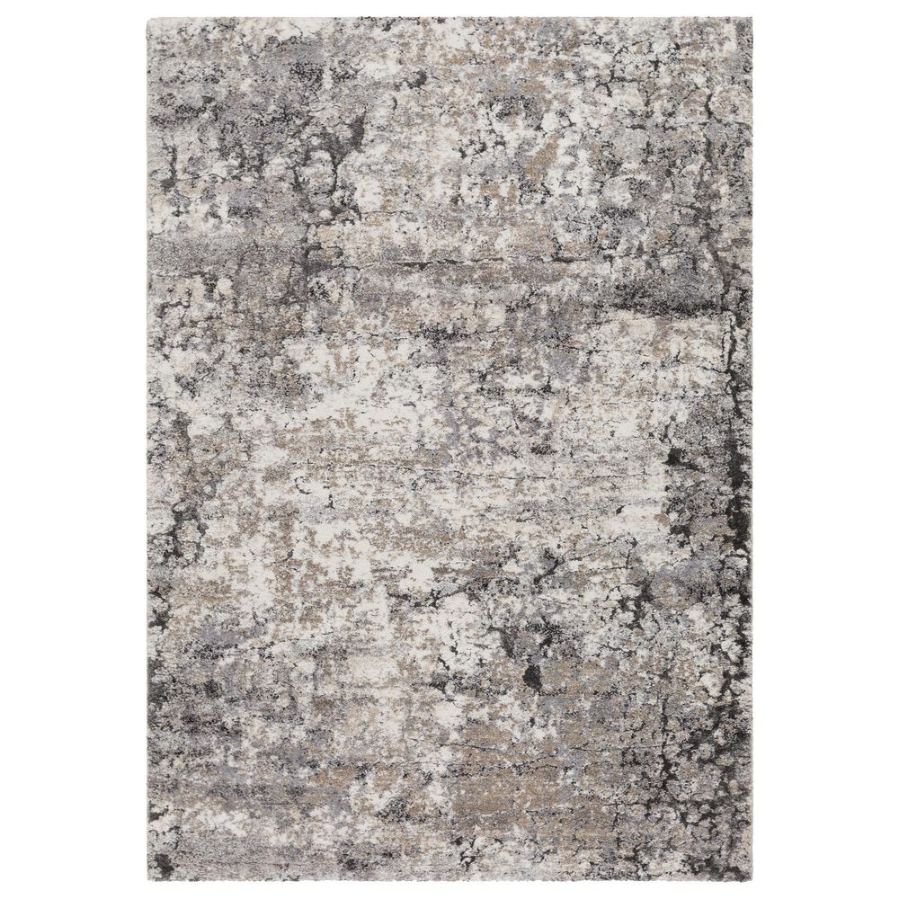 Surya Tuscany TUS-2311 12" x 15" Gray, Charcoal, Black and Ivory Area Rug, , large