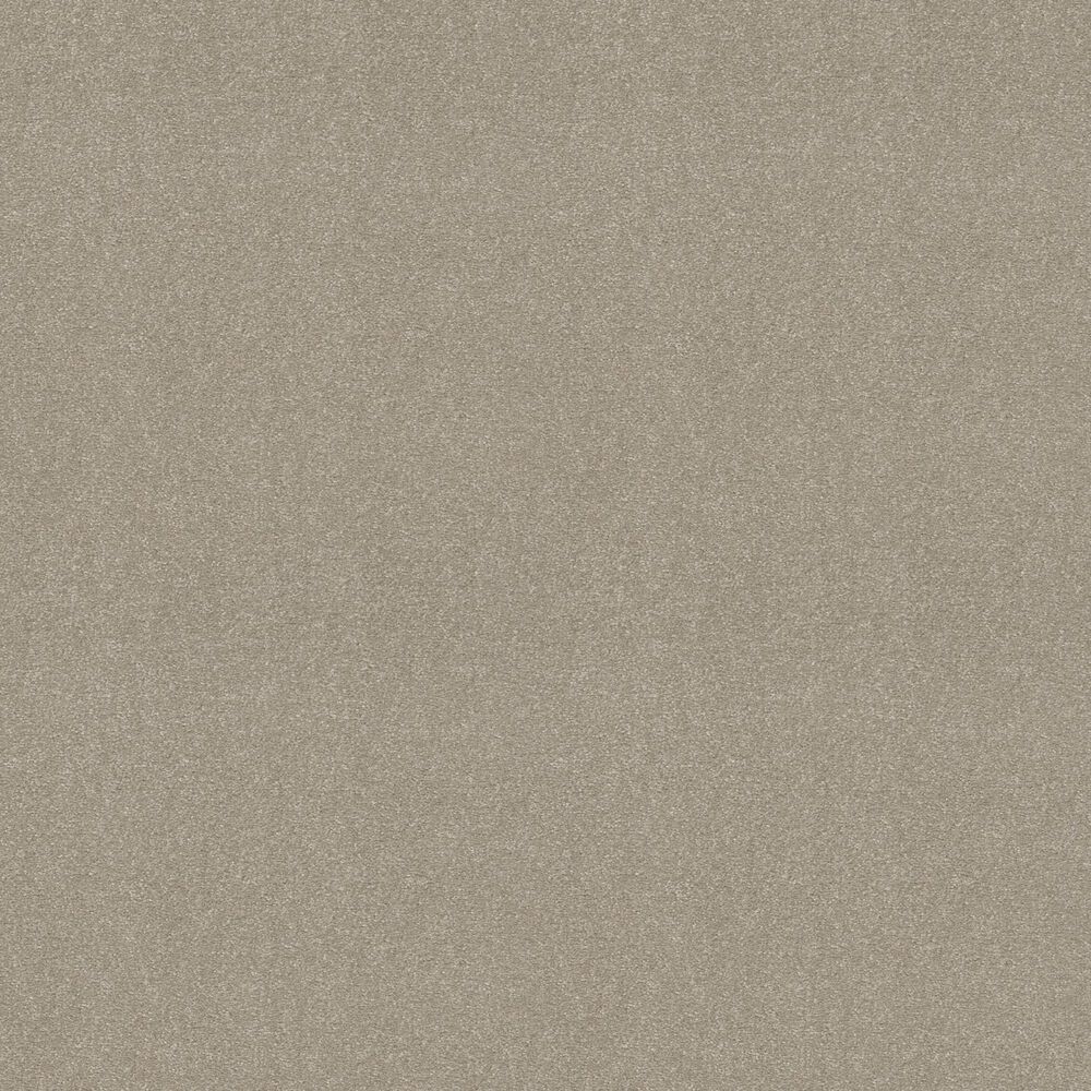 Shaw Luxuriant Carpet in Whiskers, , large