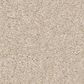 Shaw Way To Go I Carpet in Soft Landing, , large