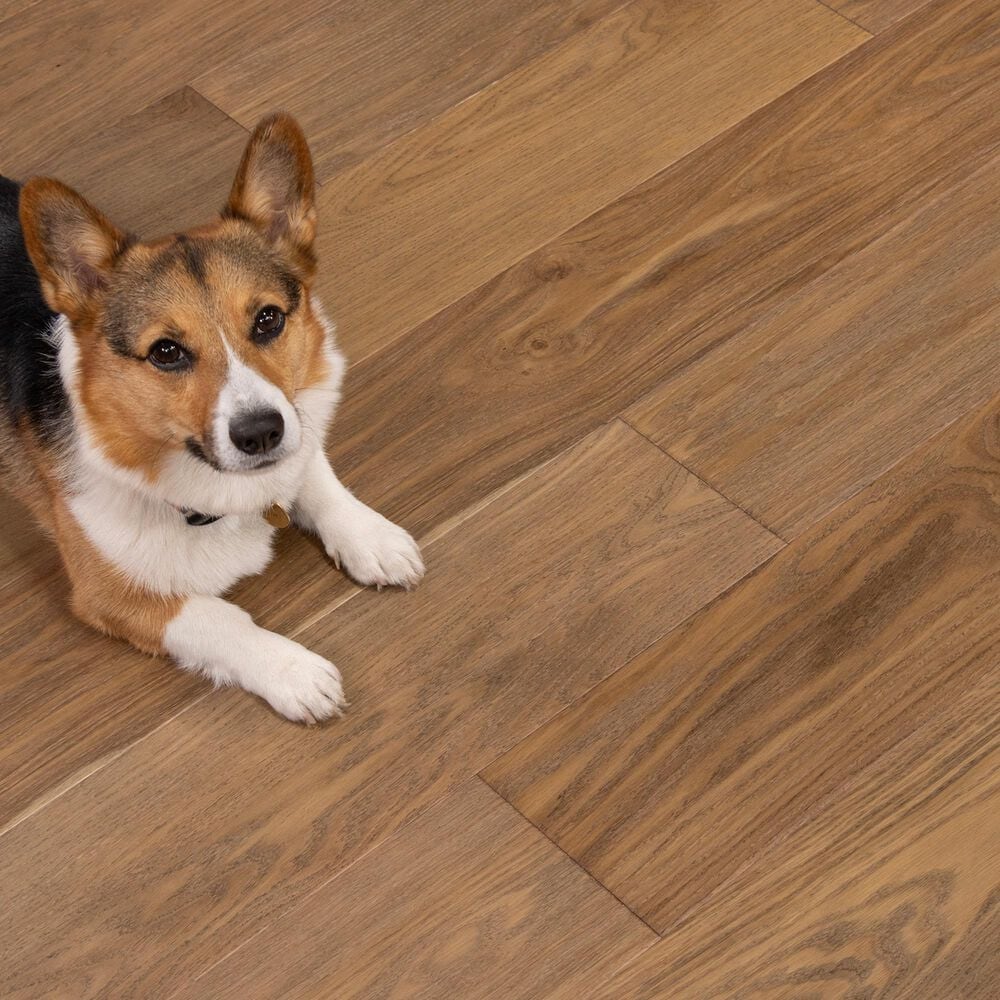 Cali Flooring Reserve 3/8" Brioche Oak Hardwood, , large