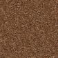 Anderson Tuftex Elegant Beauty Carpet in Autumn Glaze, , large
