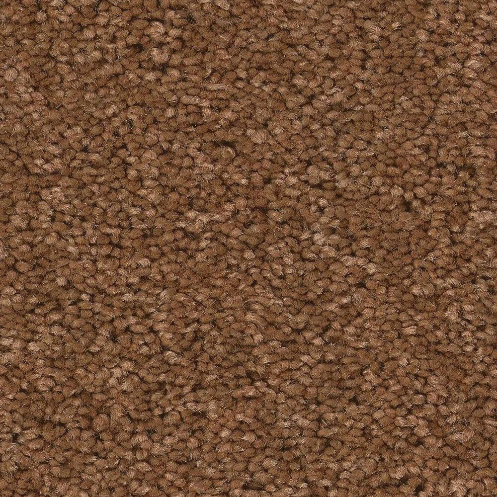 Anderson Tuftex Elegant Beauty Carpet in Autumn Glaze, , large