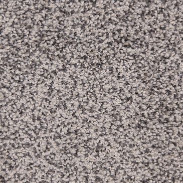 Dixie Home Simplicity Carpet in Black Sand, , large