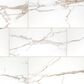 MS International Savoy Crema 24" x 48" Polished Porcelain Tile, , large