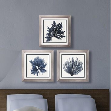 Propac Coastal Seaweed Framed Art (Set of 3), , large