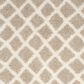 Safavieh Dallas Shag SGD258D-4 4" x 6" Beige/Ivory Area Rug, , large