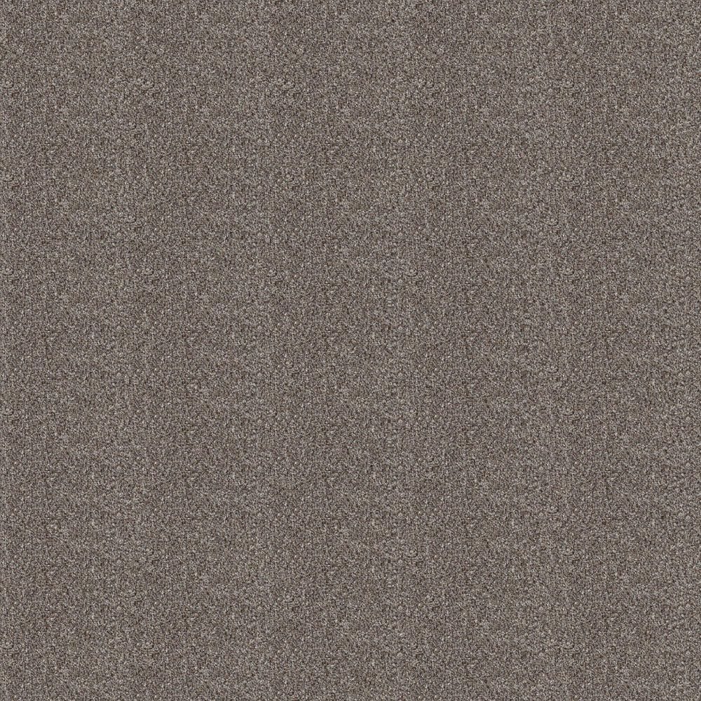 Shaw Higher Ground I Carpet in Coffee, , large