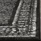 Safavieh Adirondack ADR110A-4 4" x 6" Black/Silver Area Rug, , large