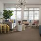 Philadelphia Mixed Essentials Carpet in Sunkissed, , large