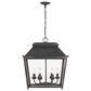 Golden Lighting Abingdon 6-Light Pendant in Antique Black, , large