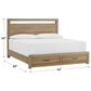 Riva Ridge Modern Loft Queen Storage Bed in Modern Khaki, , large