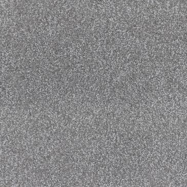 Dixie Home Bolt Carpet in Chateau, , large