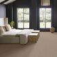 Anderson Tuftex Lumen Carpet in Softlight, , large