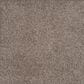 Dream Weaver Rustic Retreat II Carpet in Clay Pot, , large