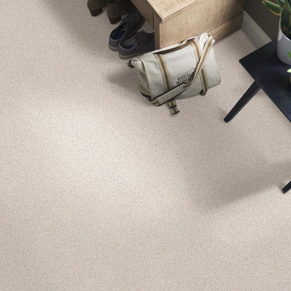 Shaw Foundations Take The Floor Tonal II Carpet in Statuary, , large