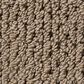 Anderson Tuftex Mera Carpet in Homestead, , large