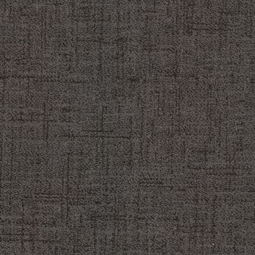 Dixie Home Tributary Carpet in Gateway, , large