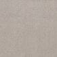 Shaw Live On Comfort Carpet in Brushed Aluminum, , large