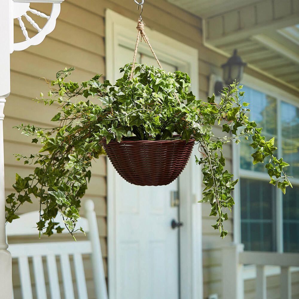 Timberlake Pure Garden English Ivy Hanging Arrangement in Green, , large