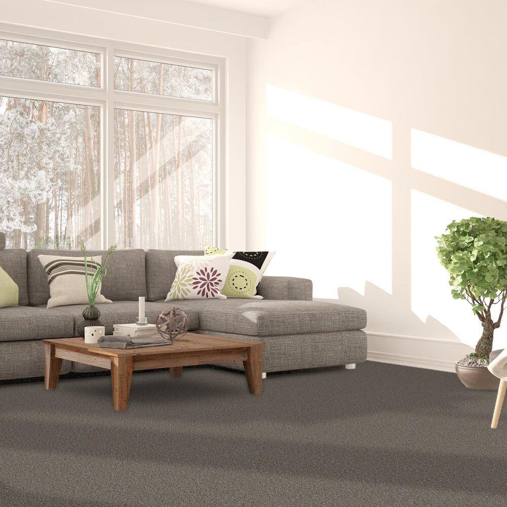 Dream Weaver Metropolis II Carpet in Butter Pecan, , large