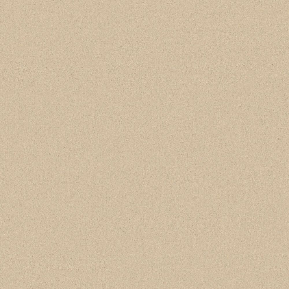 Anderson Tuftex Finery Carpet in Goose, , large