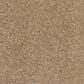 Anderson Tuftex Barracan Classic I Carpet in Brass Lantern, , large