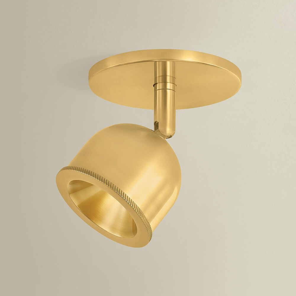 Hudson Valley Lighting Tuthill 1-Light Flush Mount in Aged Brass, , large