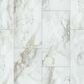 Shaw Paragon Tile Plus Calacatta 12" x 24" Luxury Vinyl Tile, , large