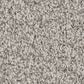 Shaw Artistic Fusion II Carpet in Frozen, , large