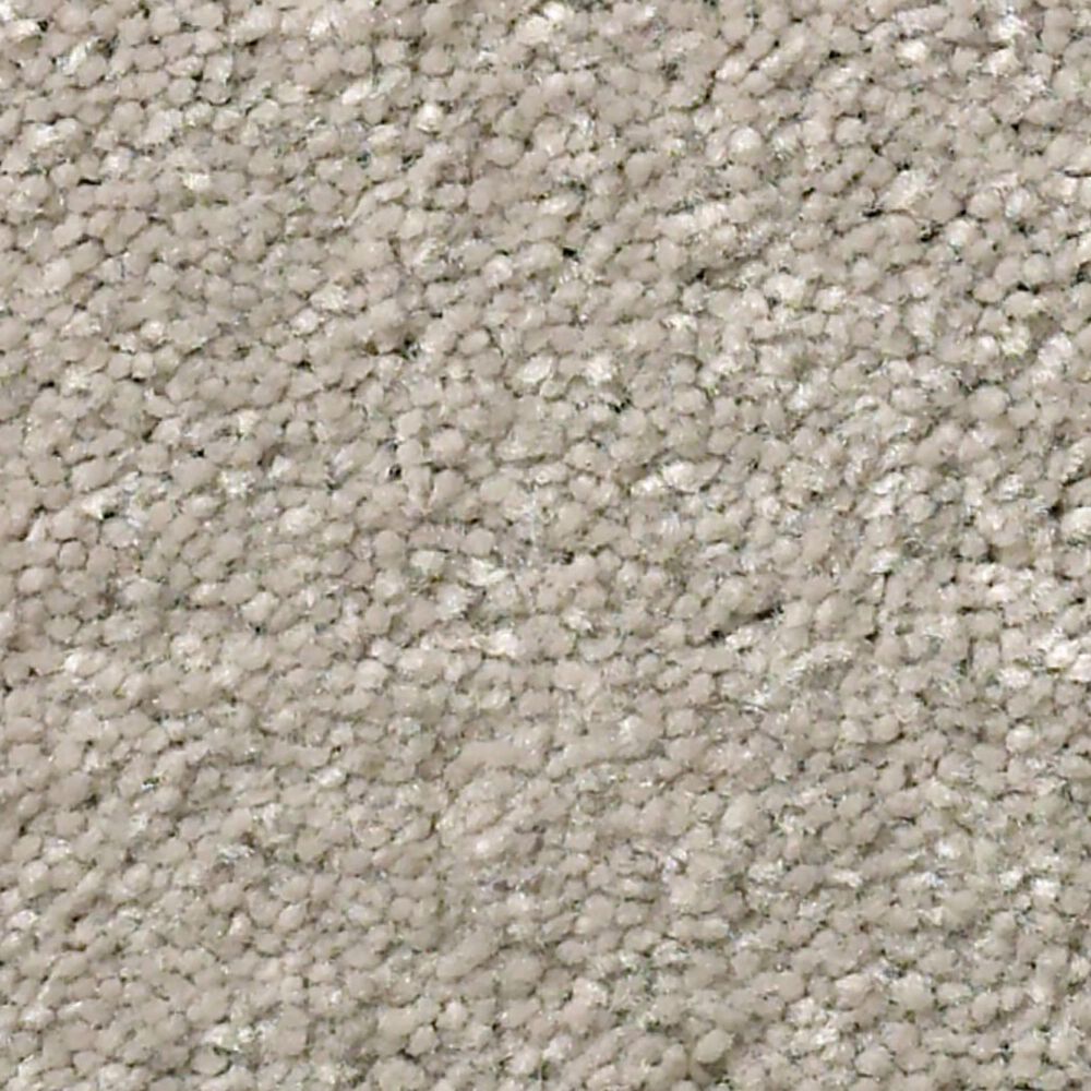 Shaw Well Grounded III 15" Carpet in Greige, , large