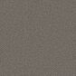Phenix Milo Carpet in Villa, , large