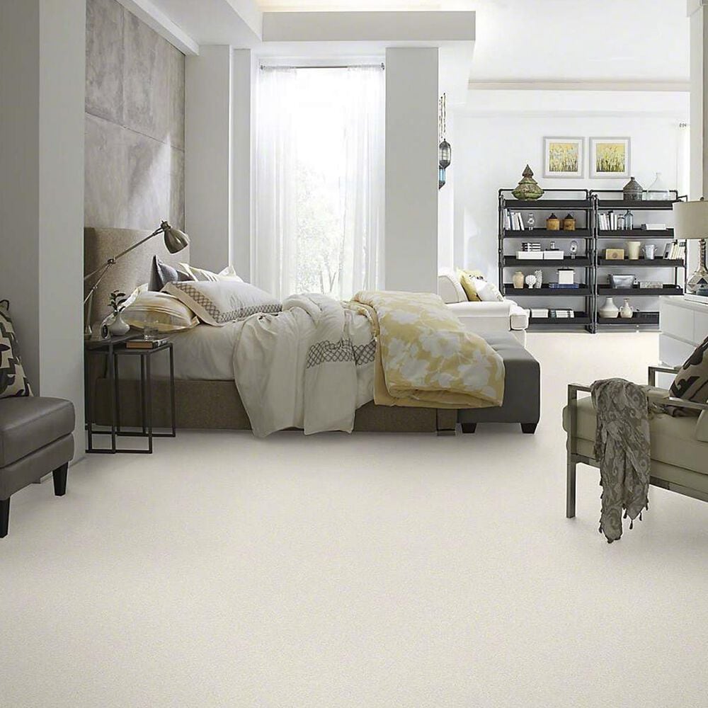 Anderson Tuftex Barracan Classic I Carpet in Icelandic, , large