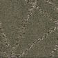 Shaw Point of View Carpet in Rerooted Nature, , large