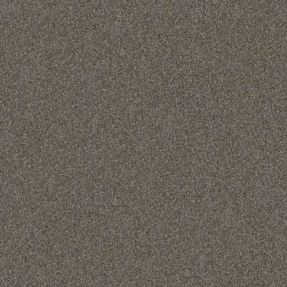 Shaw Yes You Can I Carpet in Urban Rustic, , large